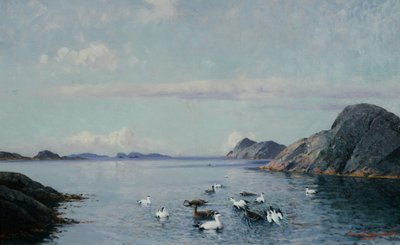 南部海岸与海鸟 作者 劳里茨·哈兰德