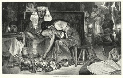 长子之死：埃及十灾中的最后一灾（石版）。 作者 劳伦斯（之后）阿尔玛·塔德玛