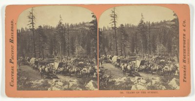 峰会上的团队，1867年。 作者 劳伦斯和豪斯沃思