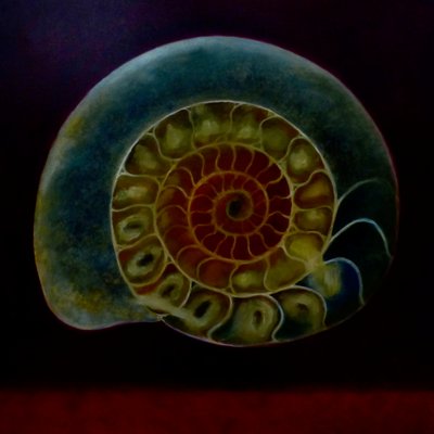 Green Ammonite, 2020 作者 李·坎贝尔