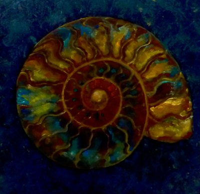 Green Gold Ammonite, 2020 作者 李·坎贝尔