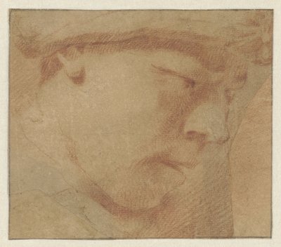 男孩头朝右 作者 Annibale Carracci（拒绝归因）
