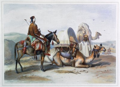 卡菲拉与一只驮着霍德的骆驼，1848年 作者 莱纳特