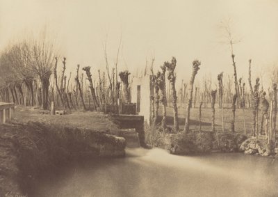 风景，蒙特贝罗，约 1860 年（照片1860 年（照片） 作者 莱昂·热拉尔