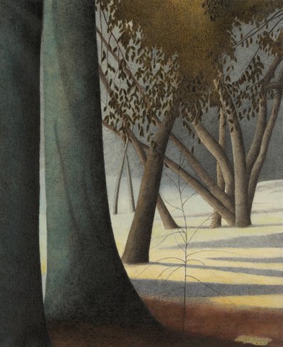 榉树树干，1945年。 作者 里昂·斯皮里亚特