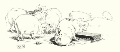 长尾猪，或短尾猪（雕刻）。 作者 伦纳德·莱斯利·布鲁克
