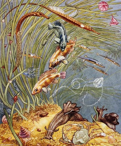 英国海滨生活》插图，1947年印制（彩色平印）。 作者 Leonard Robert Brightwell