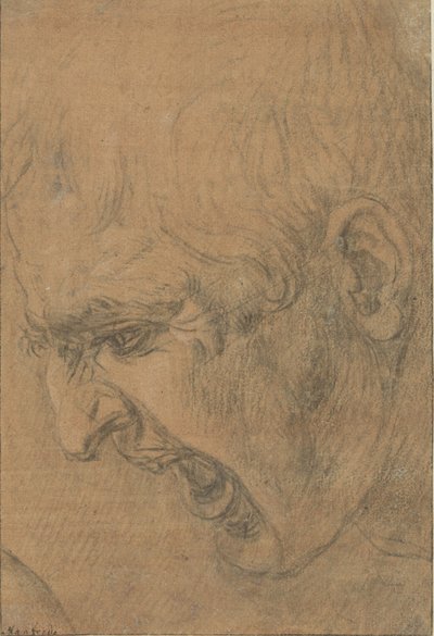 尖叫者的头颅 作者 达芬奇 (Leonardo da Vinci) (追随者)
