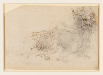 龙的服装设计 作者 达芬奇（Leonardo da Vinci）