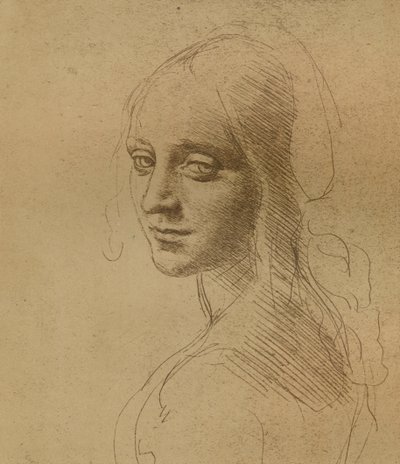 女头，c1472-c1519 1883， 作者 达芬奇（Leonardo da Vinci）