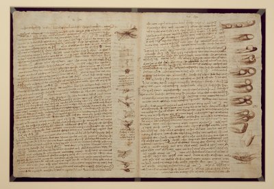 法典莱斯特的一页，1508-12（亚麻纸上的棕褐色墨水） 作者 达芬奇（Leonardo da Vinci）