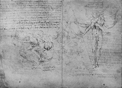 寓言于《愉悦与痛苦》和《嫉妒》，c1480 1945年 作者 达芬奇（Leonardo da Vinci）