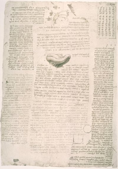 解剖学研究 作者 达芬奇（Leonardo da Vinci）