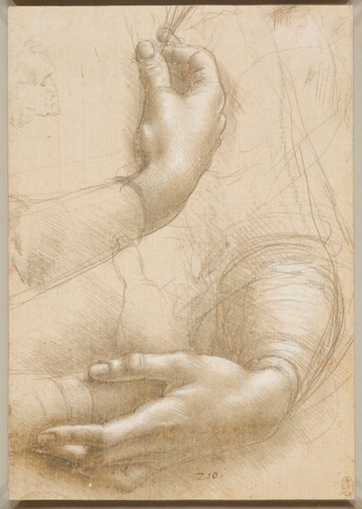 手臂和女性的双手，c。 1480。 作者 达芬奇（Leonardo da Vinci）