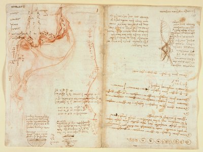 阿伦德尔 263 号，第 148v 页 作者 达芬奇（Leonardo da Vinci）