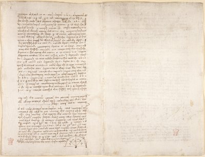 Arundel 263，f.215v，f.218 "阿伦德尔法典 "中的注释和图表（纸张上的钢笔和墨水） 作者 达芬奇（Leonardo da Vinci）