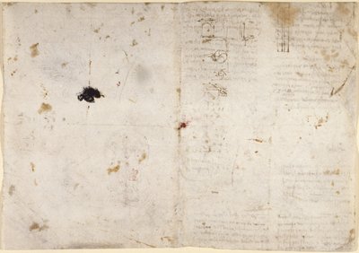 Arundel 263，f.225v，f.230 关于机械力和力、打击乐、重力、运动、光学和天文学的图画，以及各种算术和几何命题（纸上的钢笔和墨水） 作者 达芬奇（Leonardo da Vinci）