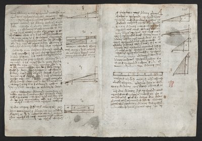 Arundel 263, f.246v 关于机械力和力、打击乐、重力、运动、光学和天文学的图画，以及各种算术和几何命题，莱昂纳多 "观察之书 "中的插图（纸面墨水）。 作者 达芬奇（Leonardo da Vinci）