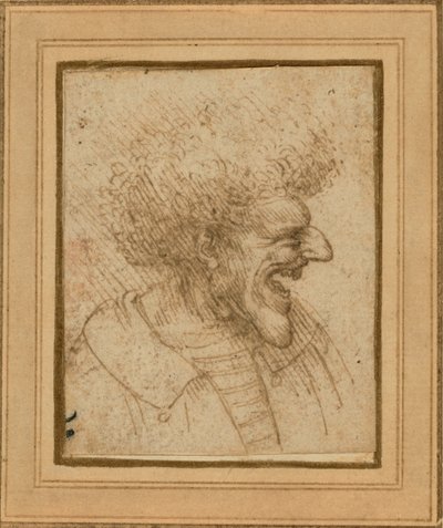 浓密头发男子的漫画 作者 达芬奇（Leonardo da Vinci）