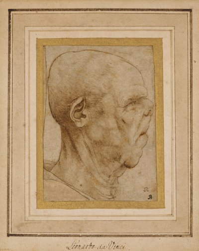 一位老人的头的讽刺画，在右侧，大约c.1507 作者 达芬奇（Leonardo da Vinci）