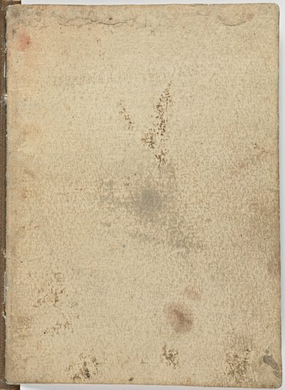 鸟类飞行守则，c。 1505-06，纸制手稿，抄本。 18，封面I 作者 达芬奇（Leonardo da Vinci）