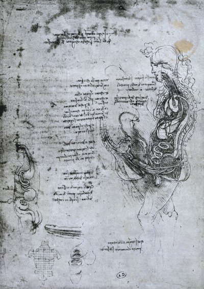 半封闭的男人和女人的传统，传真副本 作者 达芬奇（Leonardo da Vinci）