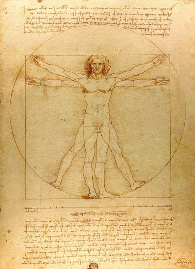 达芬奇-维特鲁夫-吕克-维亚图尔（剪裁） 作者 达芬奇（Leonardo da Vinci）