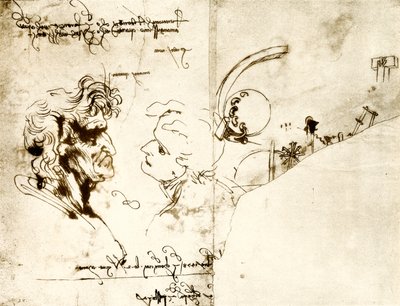 两个男性头的草稿 作者 达芬奇（Leonardo da Vinci）