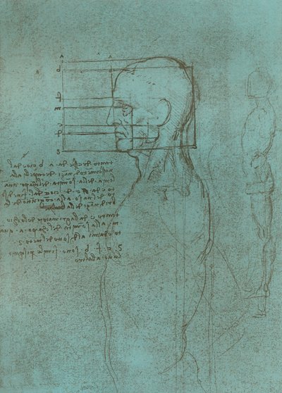 该图说明了人物比例的理论，c1472-c1519 1883。 作者 达芬奇（Leonardo da Vinci）