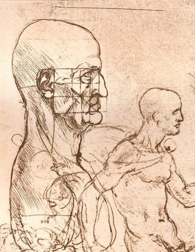 图示说明人类比例理论的图，c1472-c1519 1883 作者 达芬奇（Leonardo da Vinci）