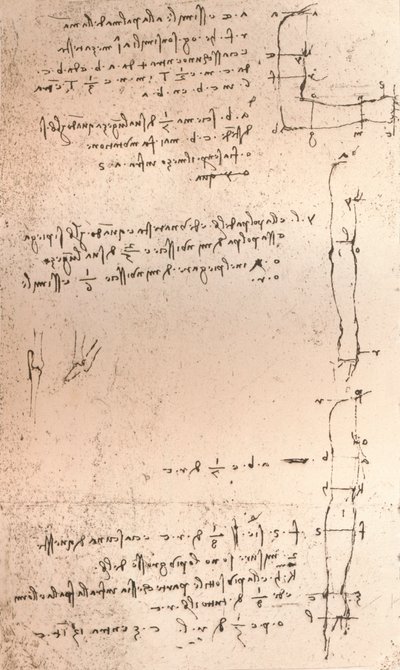 图示人类比例理论的图，c1472-c1519 1883 作者 达芬奇（Leonardo da Vinci）