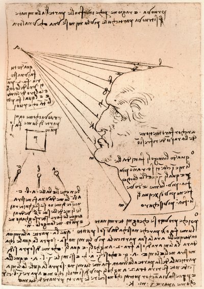 男性头像的绘画，描绘绘画的作法，c1472-c1519 1883 作者 达芬奇（Leonardo da Vinci）