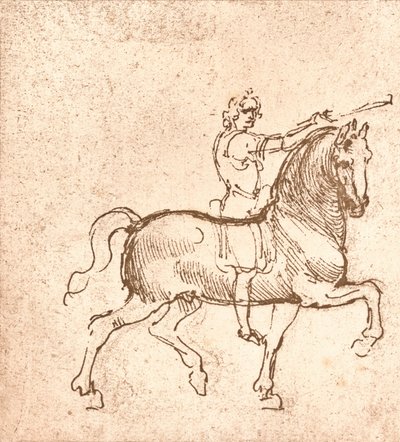 步行马的绘画，c1472-c1519 1883 作者 达芬奇（Leonardo da Vinci）