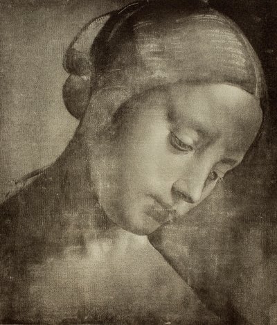 女性头像，由列奥纳多·达·芬奇绘制。 图纸和版画柜，乌菲兹美术馆，佛罗伦萨 作者 Leonardo da Vinci