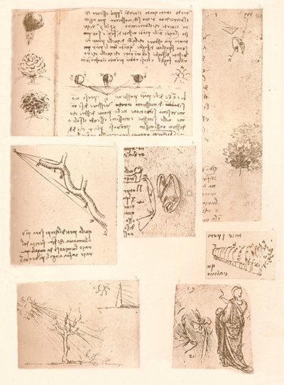 五幅插图，说明山水画的要素，c1472-c1519 1883 作者 达芬奇（Leonardo da Vinci）