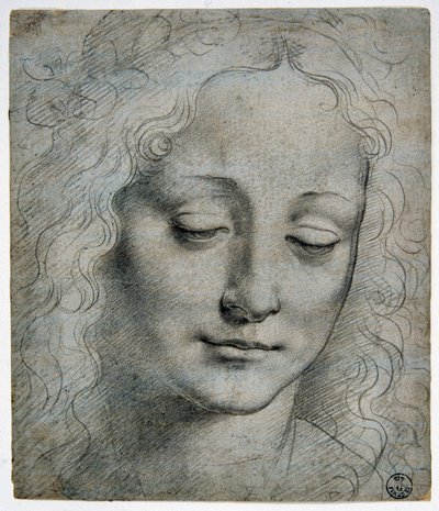 Giovanni Antonio Boltraffio (Beltraffio) (1467 - 1516) (Leonard de Vinci 最著名的学生): Verrocchio 的男孩冠冕, GDSU 425 E 作者 达芬奇（Leonardo da Vinci）