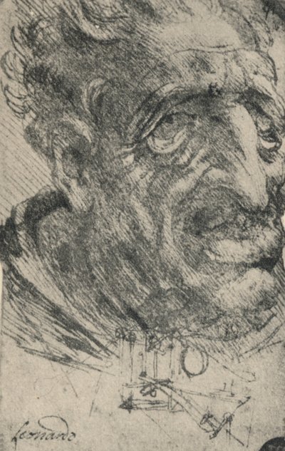 一个人的怪异头向右转三个季度，c1480 1945 作者 达芬奇（Leonardo da Vinci）