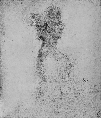 右半边一位年轻女子的半身，c1480 1945年 作者 达芬奇（Leonardo da Vinci）
