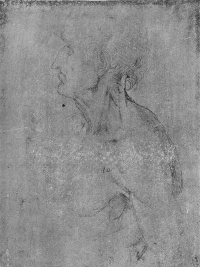 左老人的头和胸像，c1480 1945 作者 达芬奇（Leonardo da Vinci）