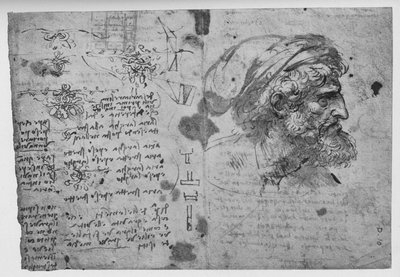 大胡子男人的头和肩膀，c1480 1945年 作者 达芬奇（Leonardo da Vinci）