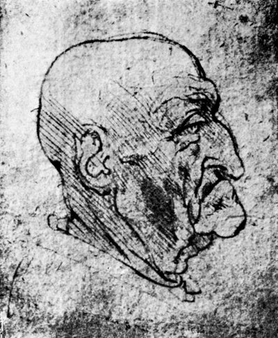 老人头，1913年 作者 达芬奇（Leonardo da Vinci）