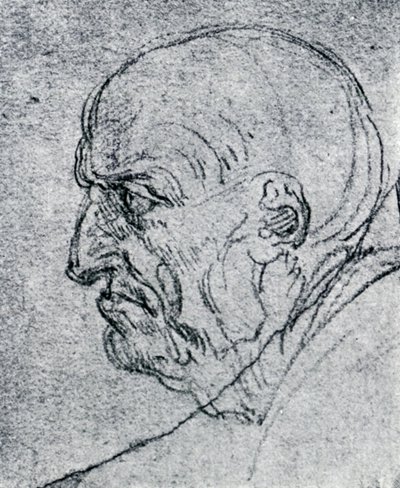 老人头，1913年 作者 达芬奇（Leonardo da Vinci）