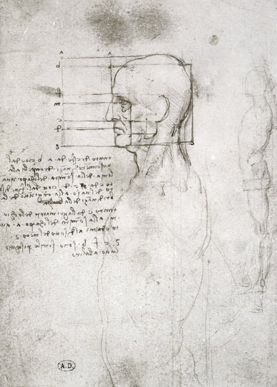 配置文件中的老人头，传真副本（笔和纸上的墨水） 作者 达芬奇（Leonardo da Vinci）