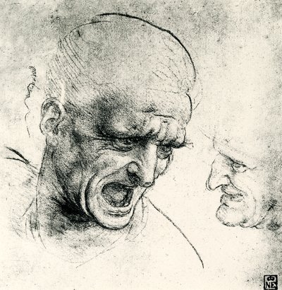 主要研究 作者 达芬奇（Leonardo da Vinci）