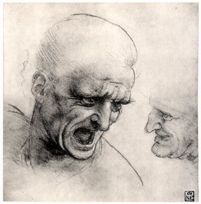 战士头（1503-1505） 作者 达芬奇（Leonardo da Vinci）