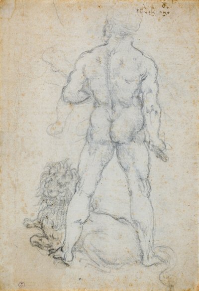 赫拉克勒斯和尼米安狮子，c。 1506-08（白纸上的木炭和金属尖） 作者 达芬奇（Leonardo da Vinci）