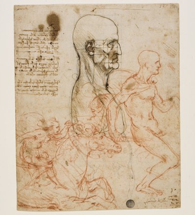 研究比例的人像半身像c。 1490-1499年。 作者 达芬奇（Leonardo da Vinci）