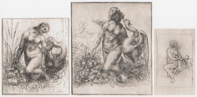 莱达和天鹅，c1504-1506 作者 达芬奇（Leonardo da Vinci）