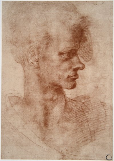 列奥纳多·达·芬奇（Leonardo da Vinci）（1452 - 1519）：一个年轻人的漫画肖像（想象） 作者 达芬奇（Leonardo da Vinci）