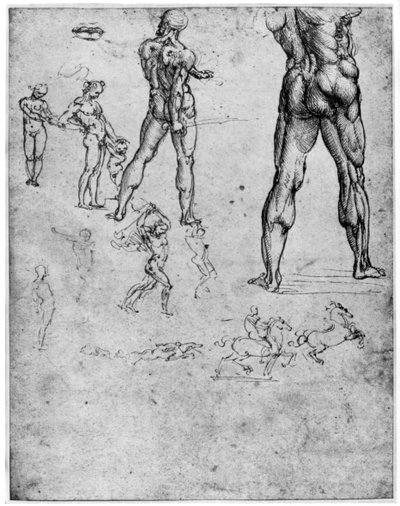 Anghiari战役的裸体研究，c1503-1505，1954年 作者 达芬奇（Leonardo da Vinci）